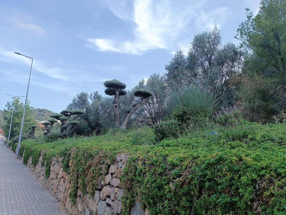 Apartamento Gilet Senderismo Bici Parking 20 Min Valencia Exterior foto